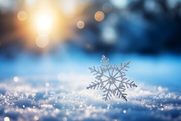 Fototapeta na wymiar closeup snowflake on blurred snow bokeh background