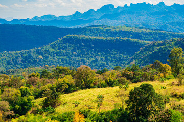 The stunning view in Forest Park from a tourist's standpoint as they go down a hill with background of blue sky, Rainforest, Thailand. Bird's eye view. Aerial view. 