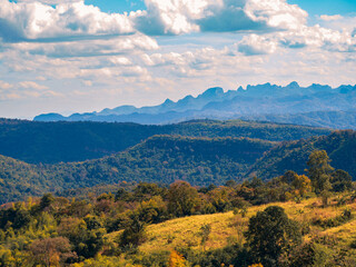 The stunning view in Forest Park from a tourist's standpoint as they go down a hill with background of blue sky, Rainforest, Thailand. Bird's eye view. Aerial view. 