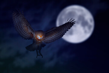 An owl flying in front of the full moon. Artistic nature photo. Nature background.