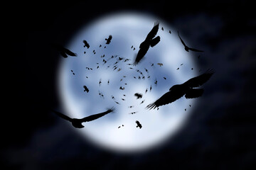 Abstract nature photo. Crows flying in front of the full moon.
