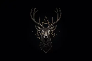 Foto op Plexiglas a deer head with antlers and a triangle © Vladimir