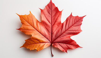 Naklejka na ściany i meble Vibrant autumn colors decorate nature backdrop in September generated by AI
