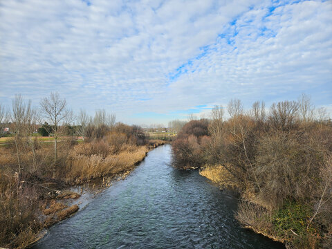 Image of the Tormes River, with its leafless trees, photo taken from the Roman bridge of Salamanca.