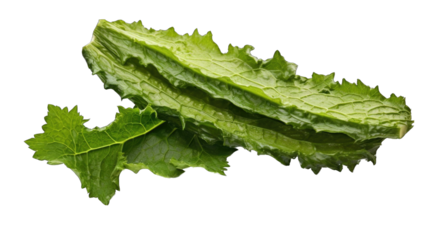 a single fresh karalla png / transparent