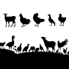Animals in Silhouette