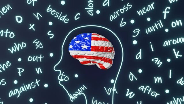 Learn English American pronunciation Foreign language fluency conversation Human head brain letter preposition grammar accent 3d animation loop. Studying USA Online school Speak Course Advanced Level