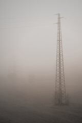 sad landscape of trees and shapes surrounded by fog