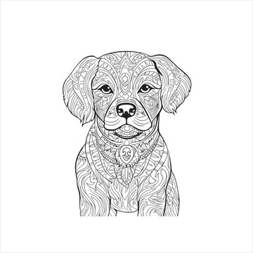 Animal mandala coloring page for all ages