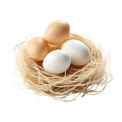 Egg in nest of pasta. Isolated on white background.