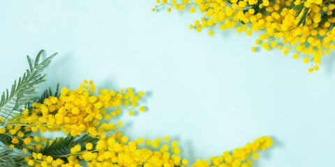 Flowers spring composition. Frame made of mimosa flowers on blue background. Easter, Women's day concept. banner