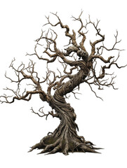 Creepy tree with twisted PNG / transparent