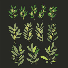 Vector olive brunch set. simple illustration for your design
