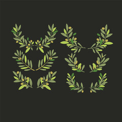 Vector olive brunch set. simple illustration for your design