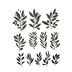 Vector olive brunch set. simple illustration for your design