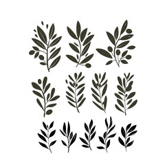 Obraz premium Vector olive brunch set. simple illustration for your design