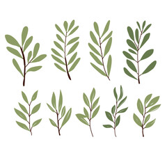 Simple vector olive branch illustration for your design