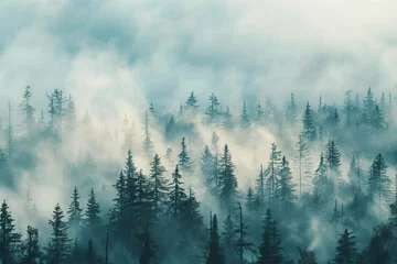 Photo sur Aluminium Forêt dans le brouillard Retro style misty forest landscape. vintage Ethereal nature scene