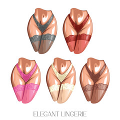 Sexy woman body wearing bikini and lace stockings front view. Women's sexy underwear. HAND DRAWN vector. Stockings and bikinis on athletic body. Lingerie Model Close up sexy female ass in bikini