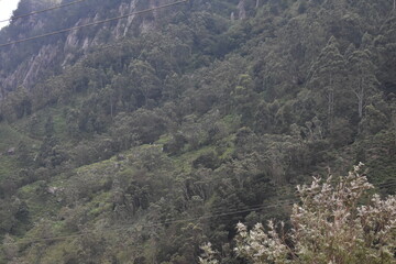 Fototapeta na wymiar Mountain ranges in Devil's Staircase, Ohiya, Sri Lanka.