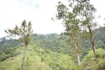 Mountain ranges in Devil's Staircase Road, Kalupahana, Sri Lanka.