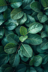 Obraz premium leaf pattern