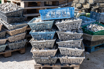 Equipment of oysters farm in Arcachon Bay near Le Phare du Cap Ferret, Cap Ferret peninsula, France, southwest of Bordeaux, France's Atlantic coastline - obrazy, fototapety, plakaty