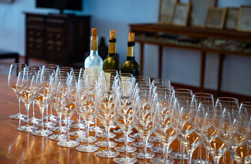 Wine tasting in old wine domain, Saint Estephe village, Haut-Medoc vineyards in Bordeaux, left bank...