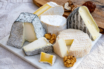 French cheeses collection, Perail les Buissieres sheep cheese, neufchatel cow milk cheese, tomme de...