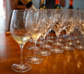 Wine tasting in old wine domain, Saint Estephe village, Haut-Medoc vineyards in Bordeaux, left bank...