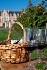 Tasting of Bordeaux blended red wine on green vineyards with rows of red Cabernet Sauvignon grape variety of Haut-Medoc vineyards, Bordeaux, left bank of Gironde Estuary, France