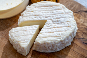 Cheese collection, French Perail les Buissieres cheese made from sheep milk from Aveyron, France...