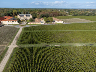 Aerial view on left bank of Gironde Estuary with green vineyards with red Cabernet Sauvignon grape...