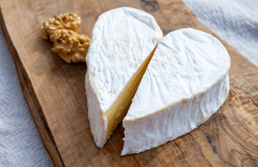 Cheese collection, French cheese from Normandy region, heart-shaped neufchatel close up