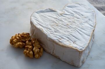 Cheese collection, French cheese from Normandy region, heart-shaped neufchatel close up