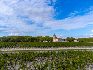 Aerial view on left bank of Gironde Estuary with green vineyards with red Cabernet Sauvignon grape...