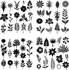 black and white tropical Flower silhouette vector illustration plant leaf isolated summer decoration botanical hibiscus 