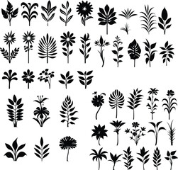 black and white tropical Flower silhouette vector illustration plant leaf isolated summer decoration botanical hibiscus