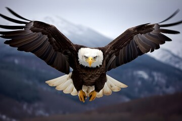 Obraz premium Majestic Eagle Soaring Close-Up View