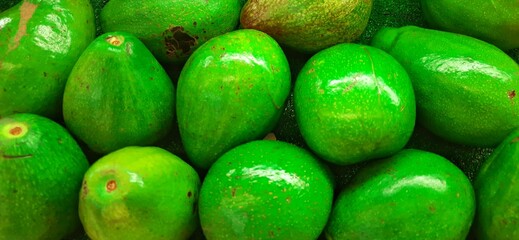 Fresh bunch of green avocados or Alpukat or Palta background. Ready sold in supermarket