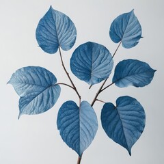 Fototapeta na wymiar leaves on white background 