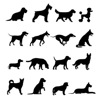 Collection of dog breeds silhouettes. Silhouettes of a dog, Silhouettes of dog breeds, Collection of dog silhouettes, vector hand drawn animals silhouette set illustration, Vector se