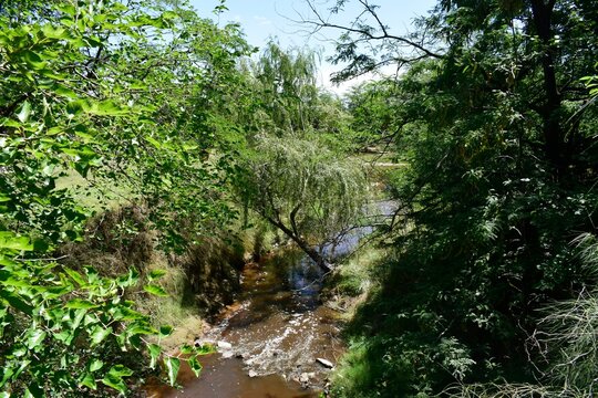 arroyo