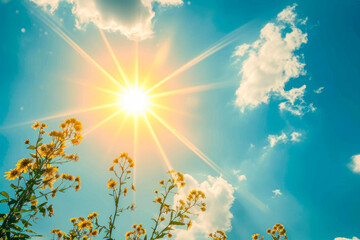 Fototapeta na wymiar sun with a yellow rays and a summer