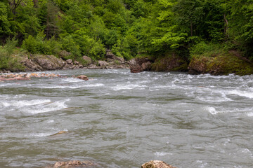 river, mountainous terrain, cloudy day, the beginning of the summer period, walking in the bosom of...