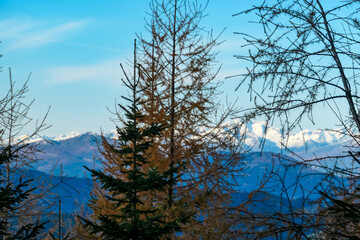 Panoramic view of snow capped mountain ridges of Woelzer Tauern seen from Grebenzen, Gurktal Alps, Styria, Austria. Calm serene atmosphere in Austrian Alps. Idyllic forest in foreground. Wanderlust