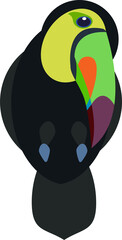 Fototapeta premium toucan bird on transparent, png . Rainbow toucan with a large and colorful bill . Tropical jungle exotic bird. Animals.