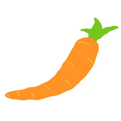 Simple carrot illustration