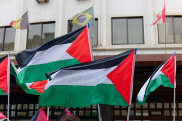 Pro-Palestinian protests. Anti-Israel protesters. Palestine Flags. Free Palestine. Brazil, Canada,...