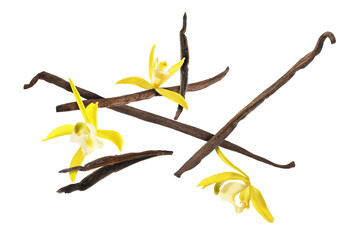 Vanilla pods and yellow flowers falling on white background